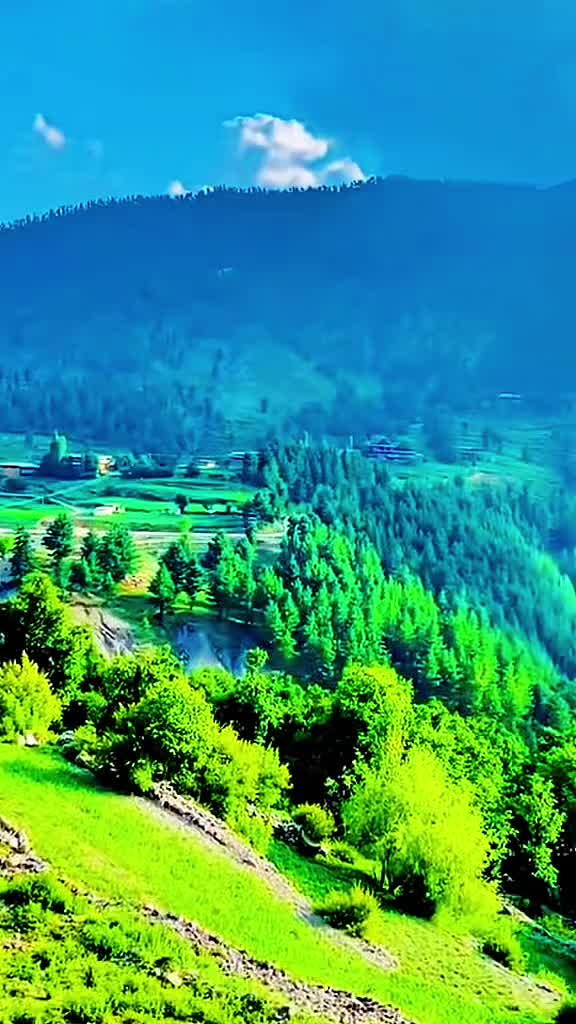 @🫀کـرمیــــوال زڑگــــو🫀