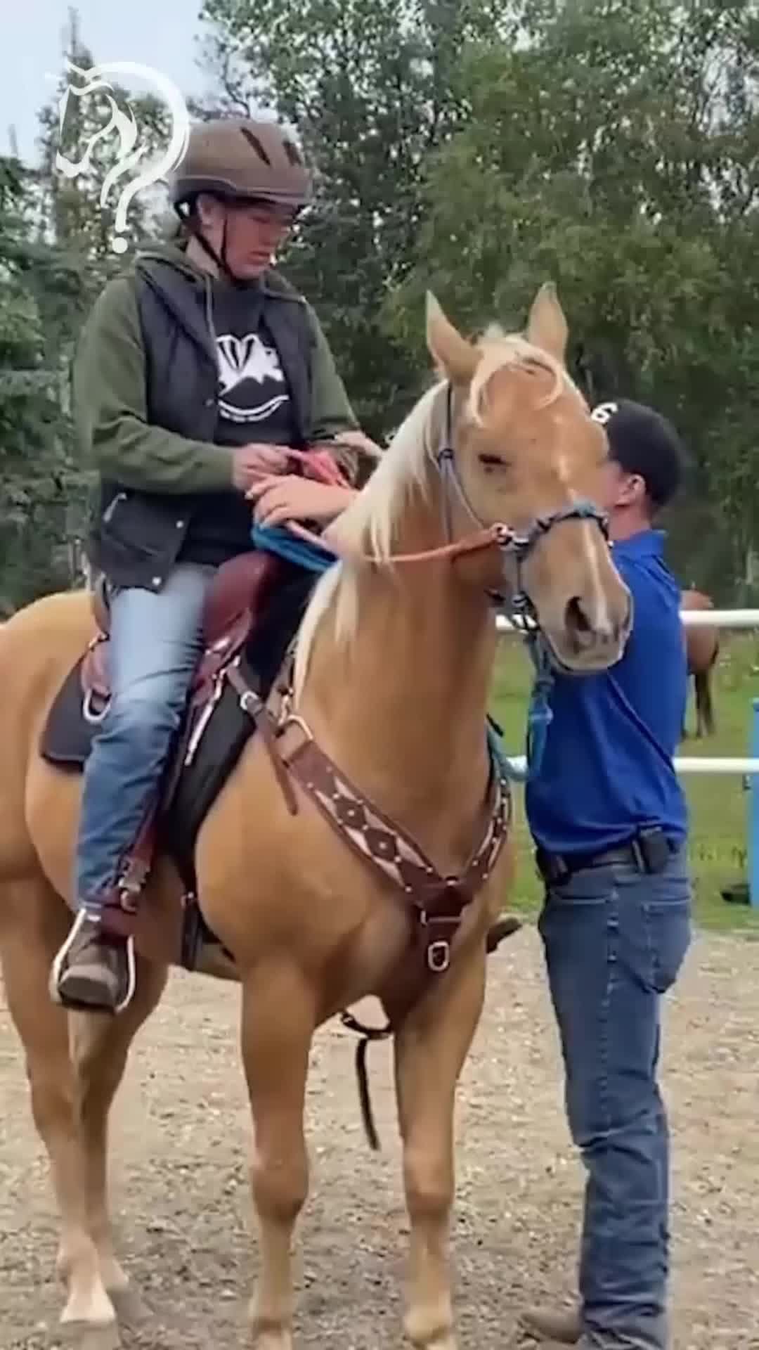 @Horse Help