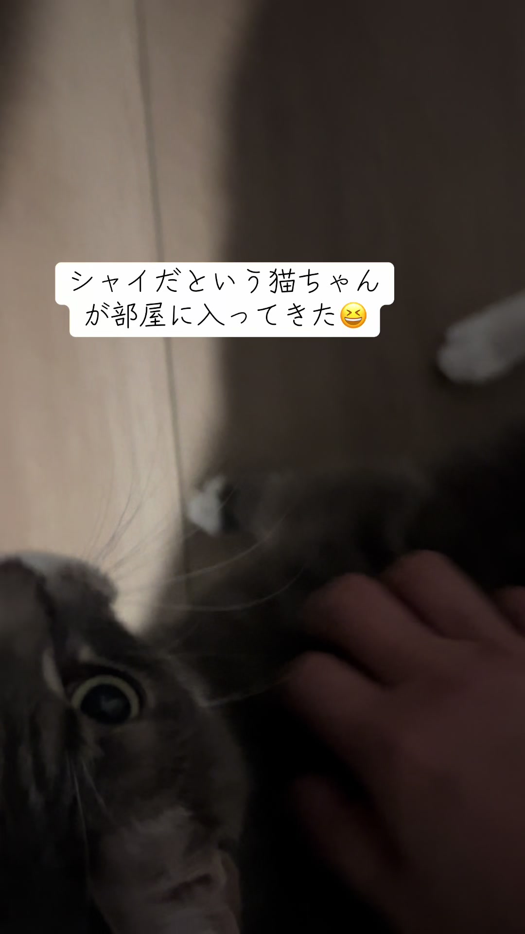 @Kaoru Nakajima123