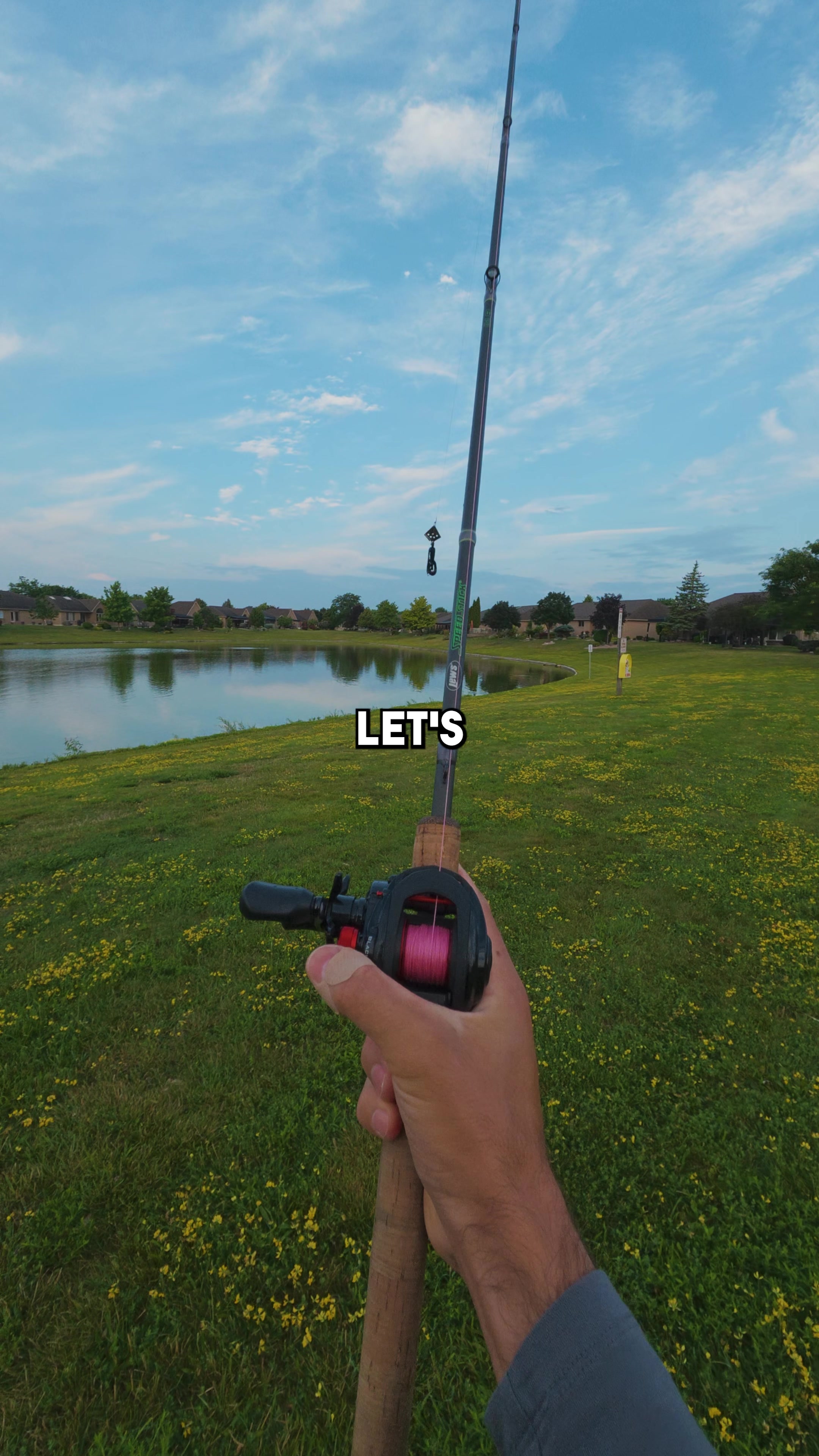 @Stef Fish
