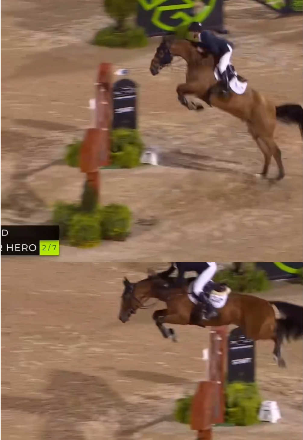 @Major League Show Jumping