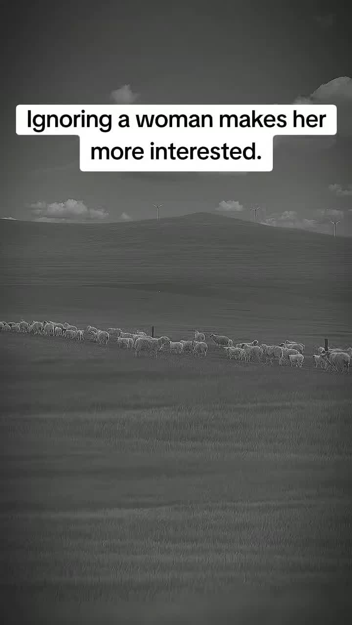 @focus__.45