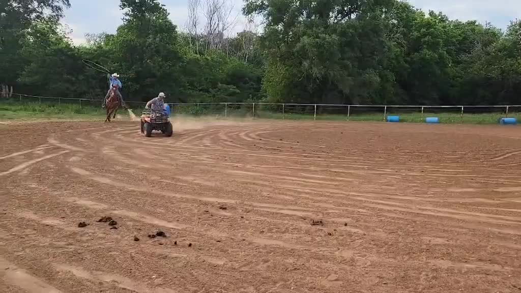 @scottdailyhorsetraining