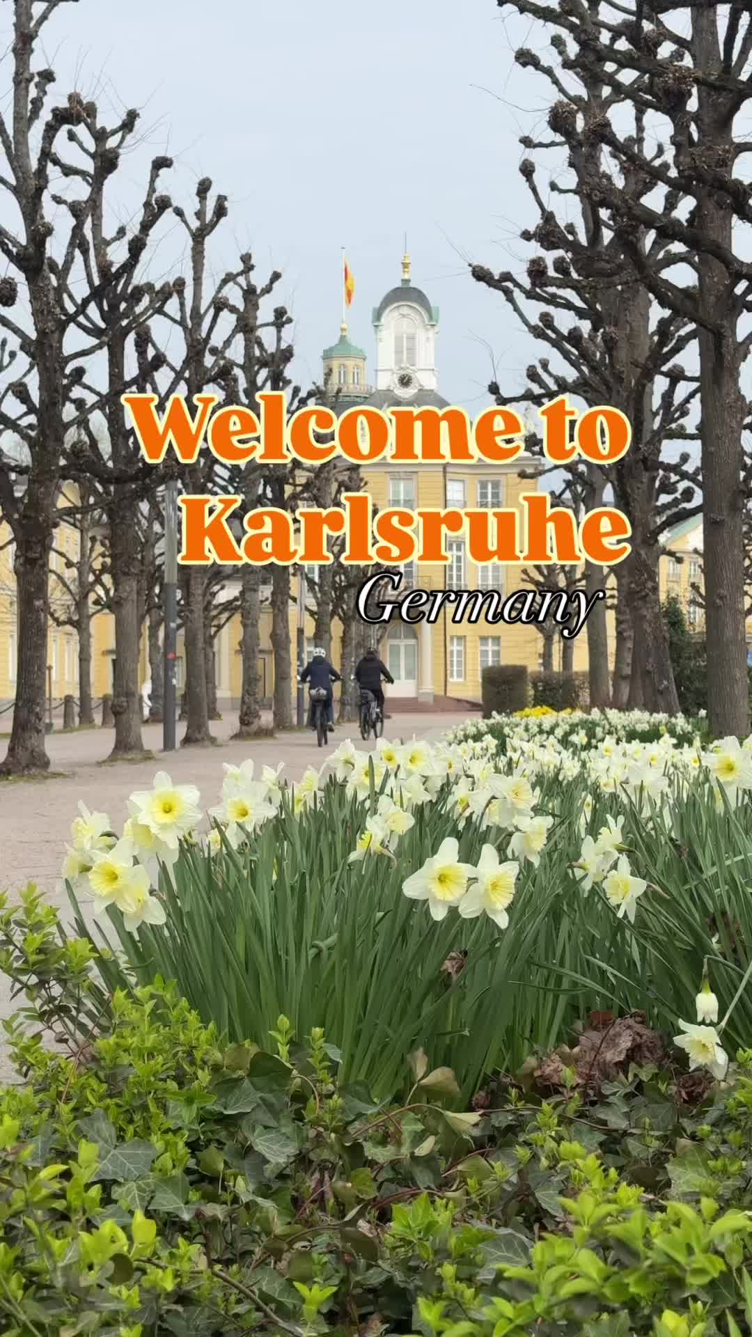 @dasha.homir