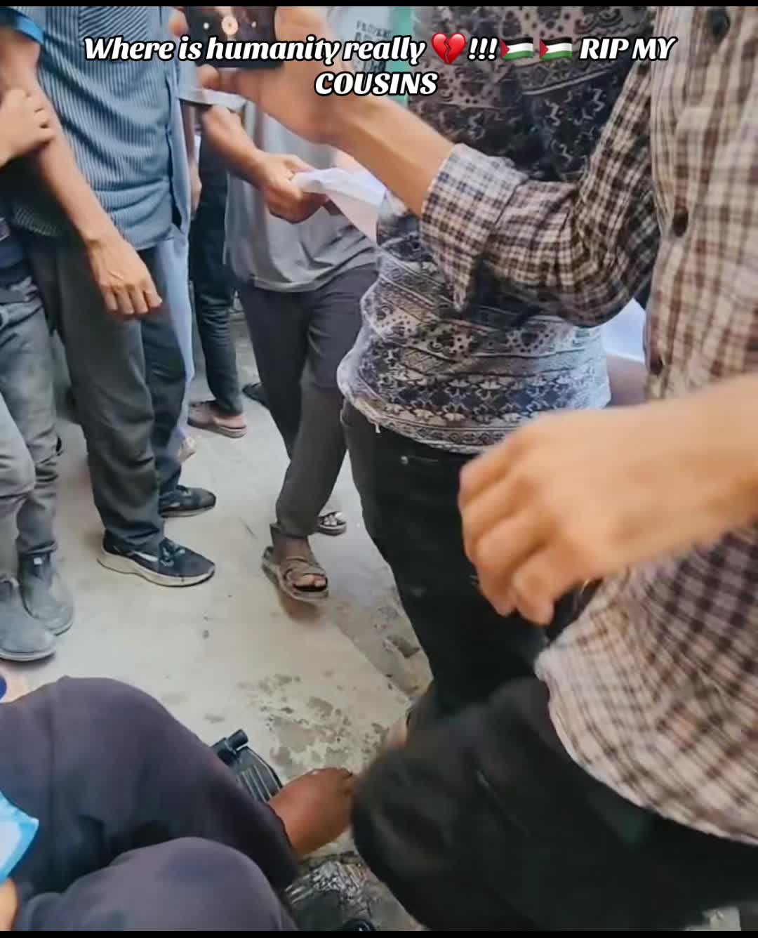 @Gaza Animal Rescue
