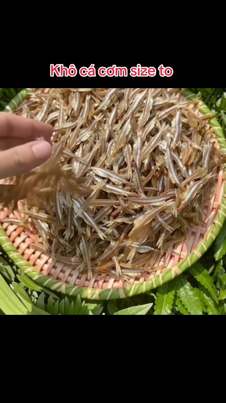 @Shop Mai Ngọc