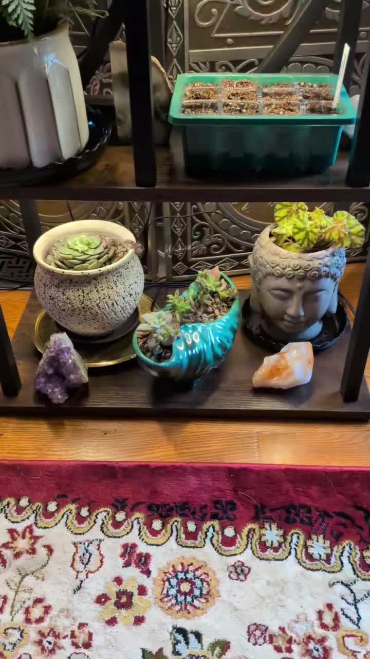 @https://coachkatie.etsy.com