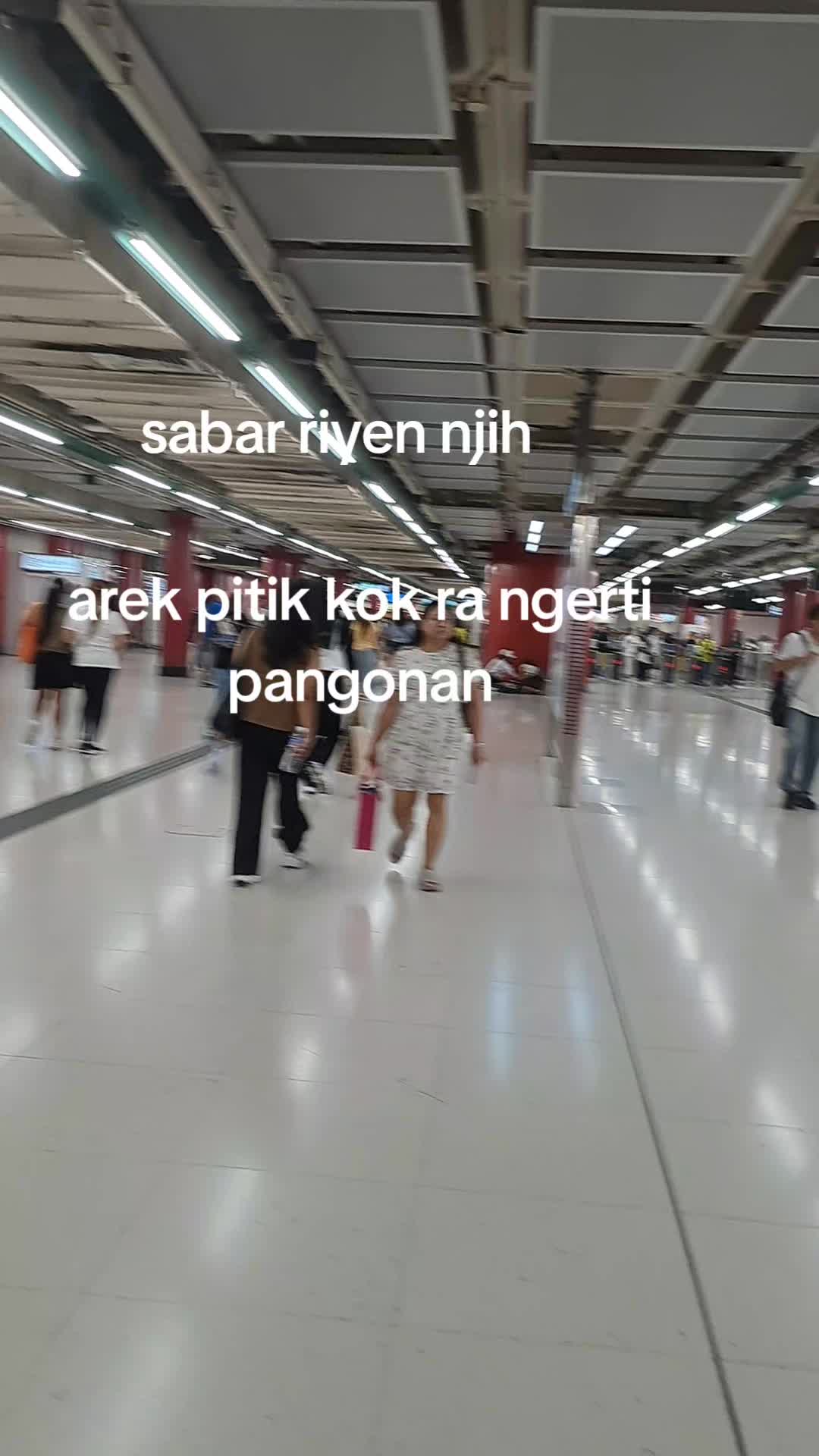 @sisilia