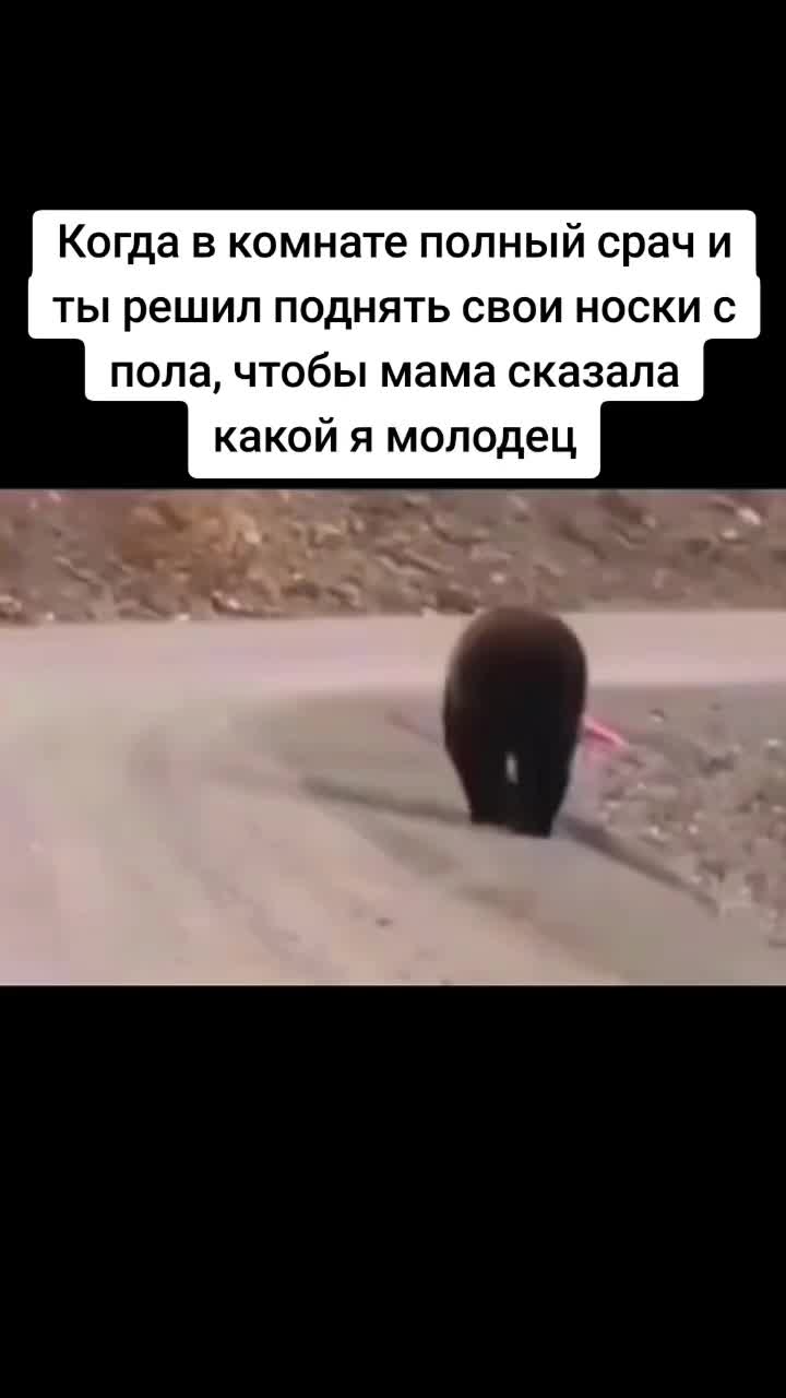 @Mr.Emirade