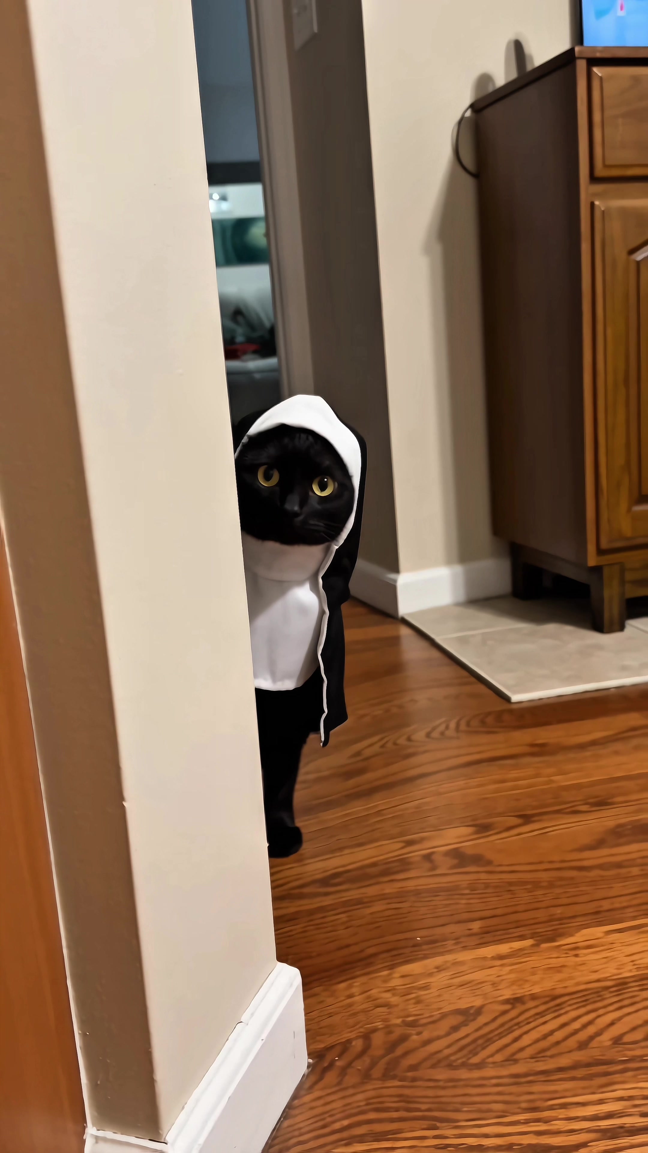 @Pawloween