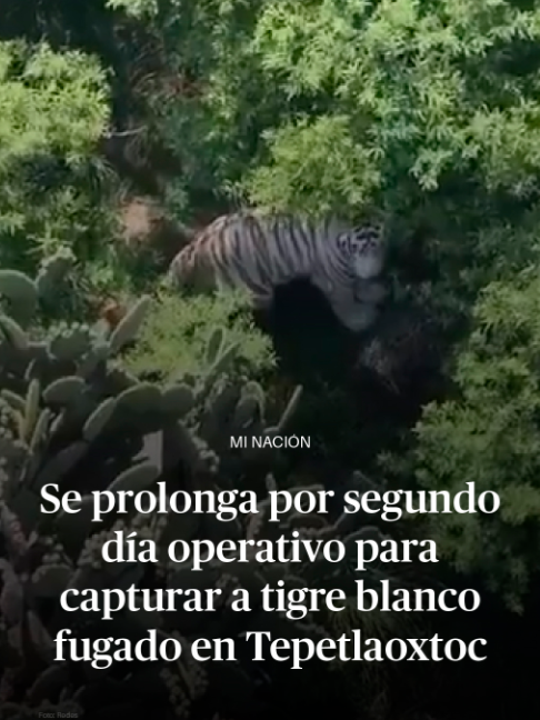 @DiariodeM&eacute;xico
