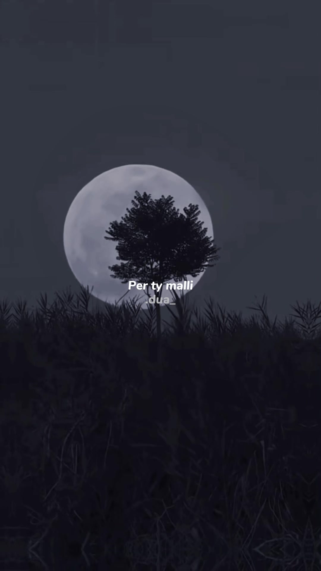 @𝗗 𝗨 𝗔