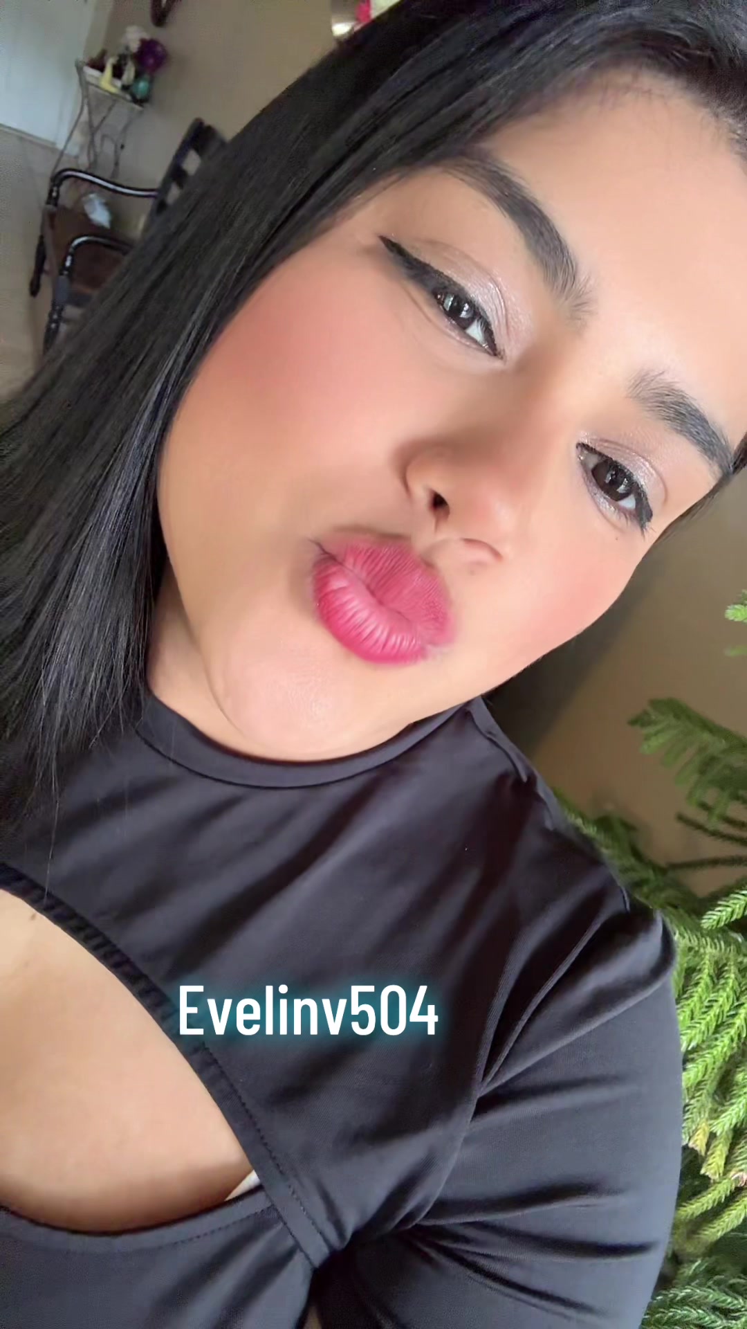 @evelinv504