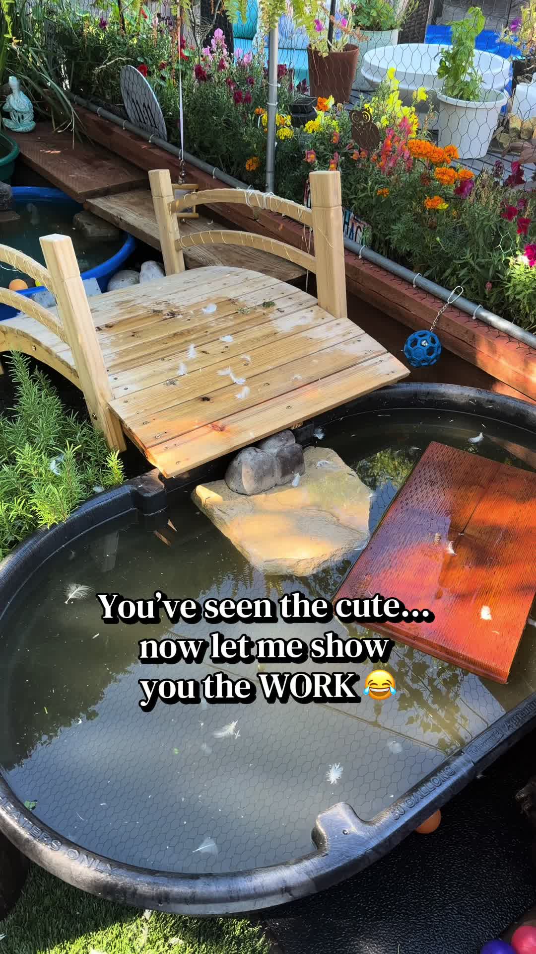 @Sherry&rsquo;s Backyard Sanctuary