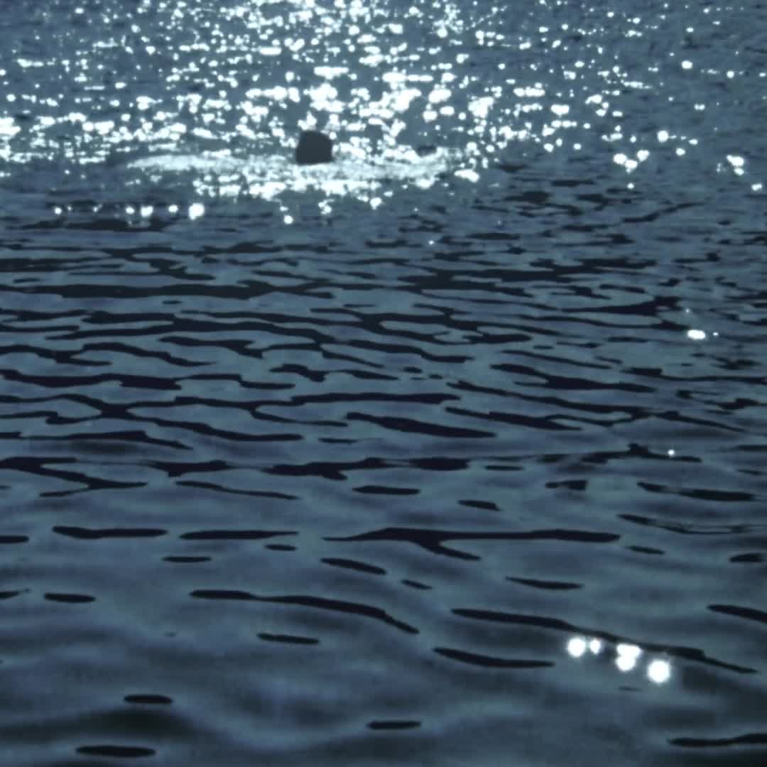 @remek‧₊˚ ⋅