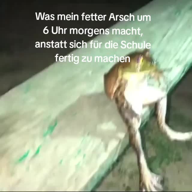 @𝙕𝙀𝙍𝙊🫧