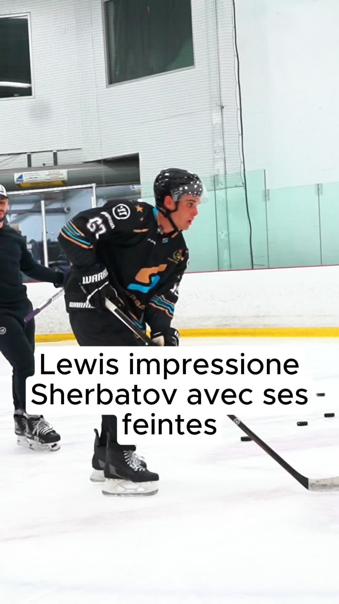 @Eliezer Sherbatov