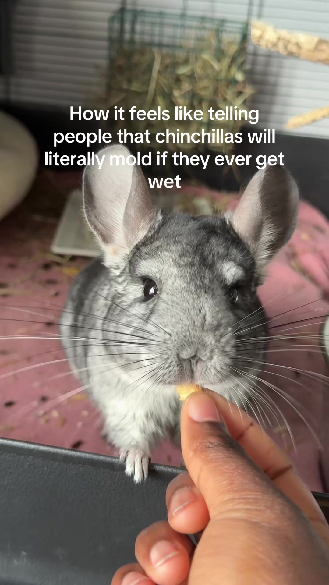@BANDIT & STRIPE