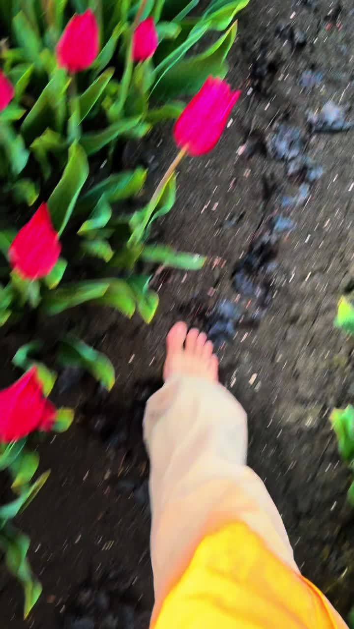 @mega