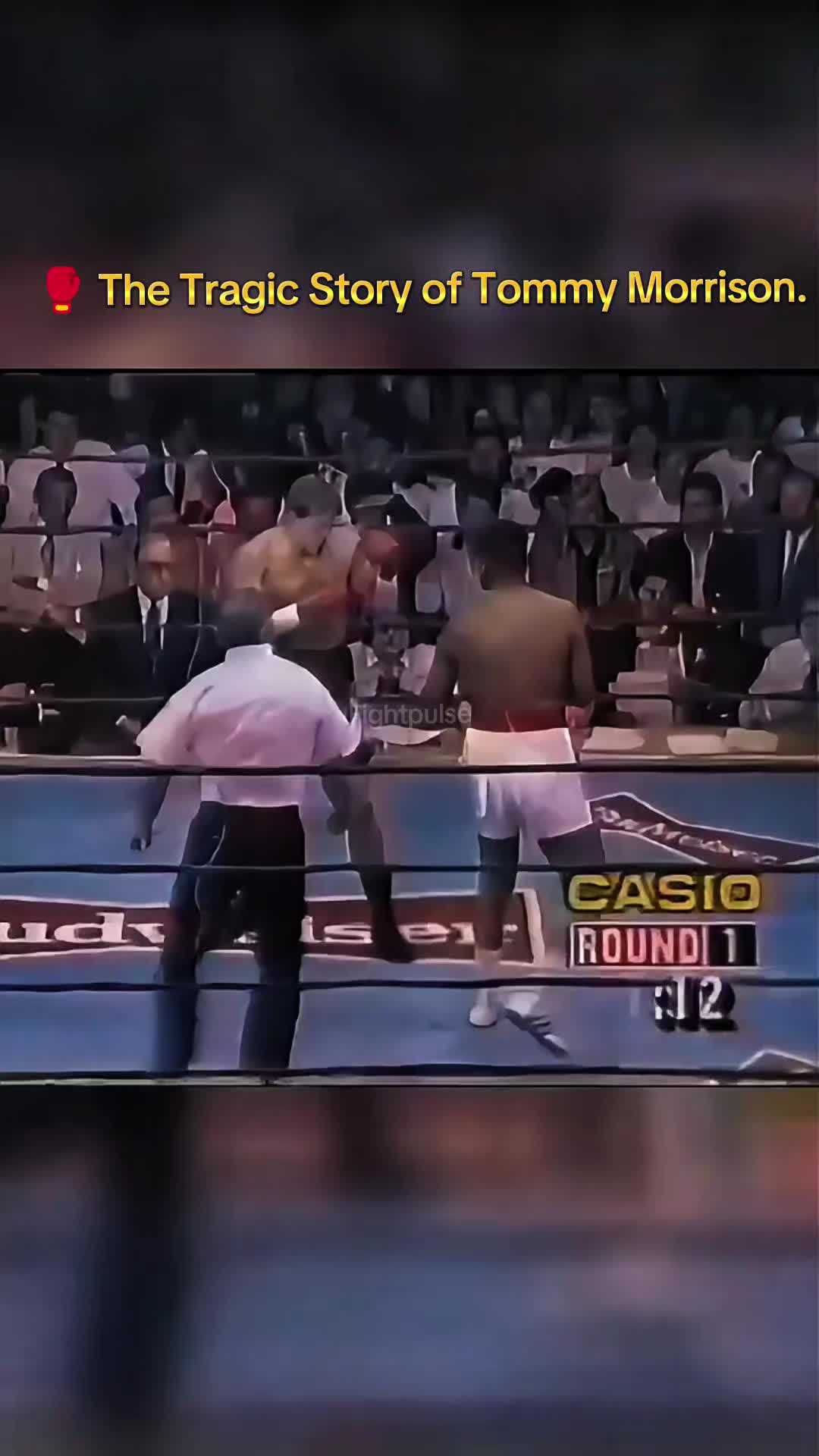 @fightpulse