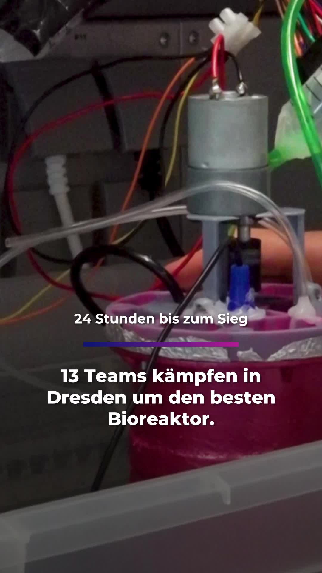 @Sachsen Fernsehen