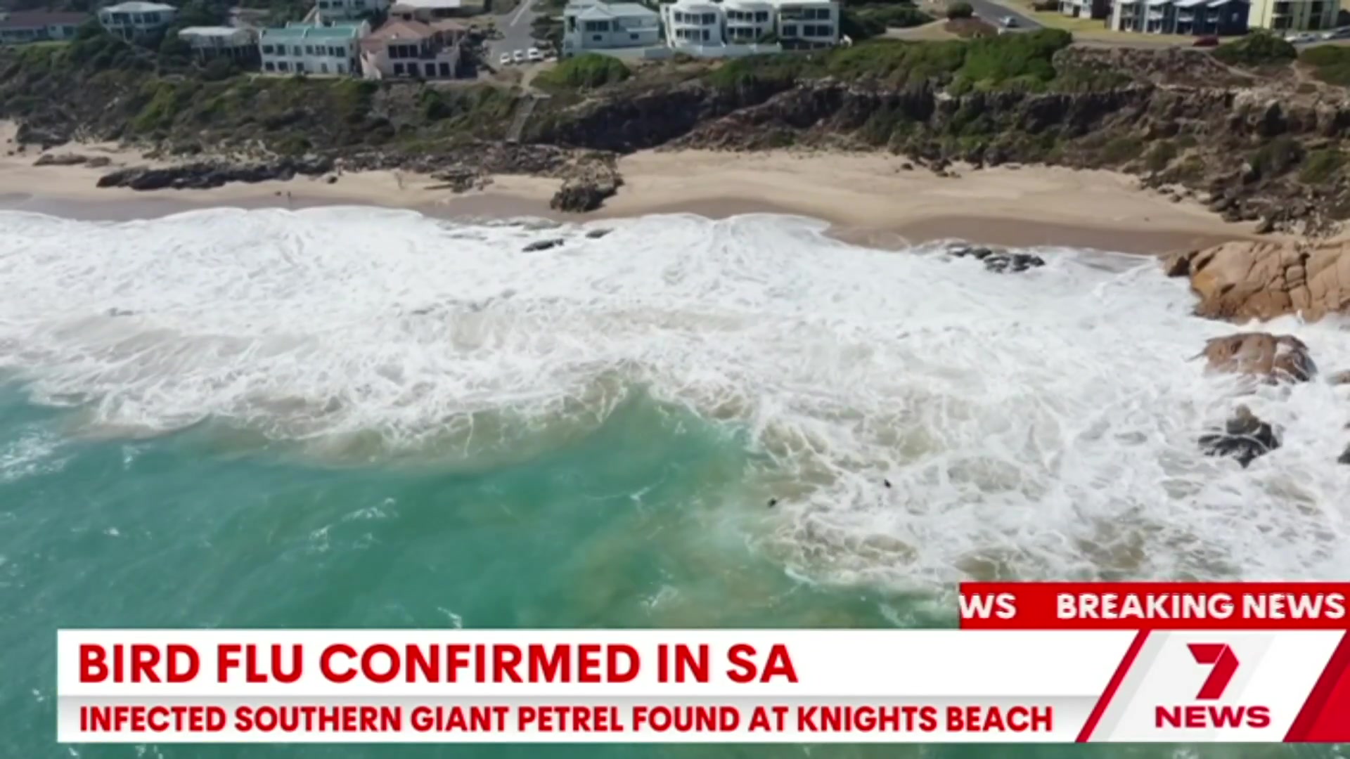 @7NEWSAdelaide