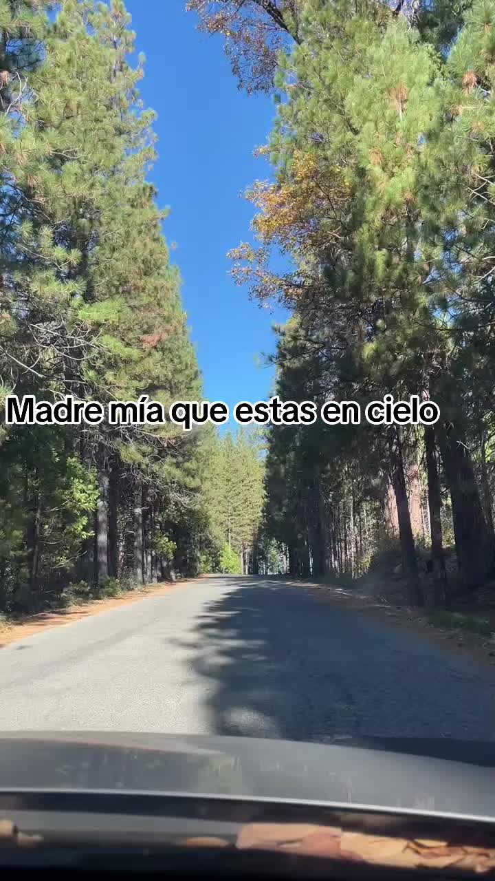 @🦋𝓜𝓲𝓻𝓪𝓷𝓭a