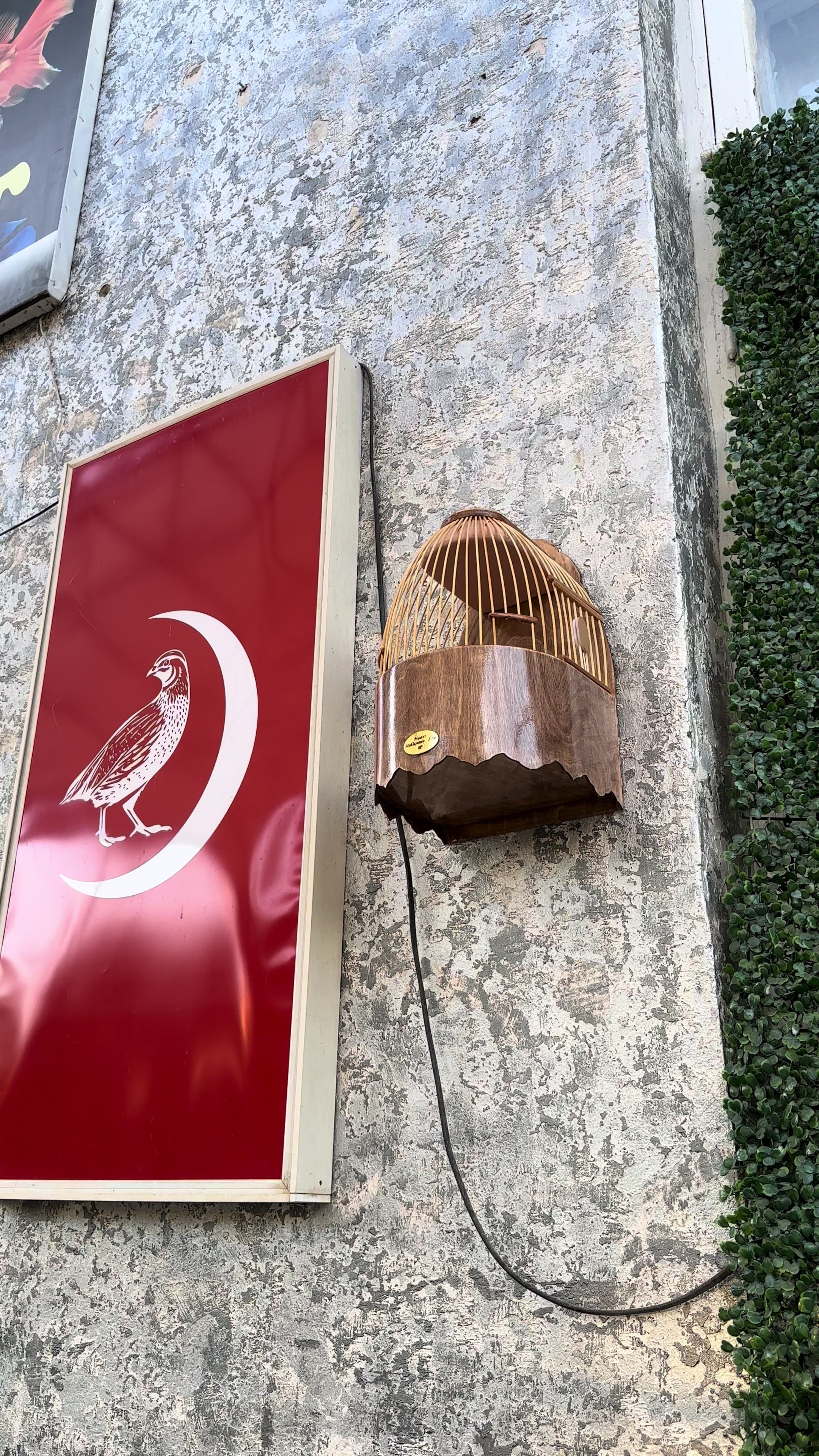 @SAYROQI BEDANA UZB 🇺🇿