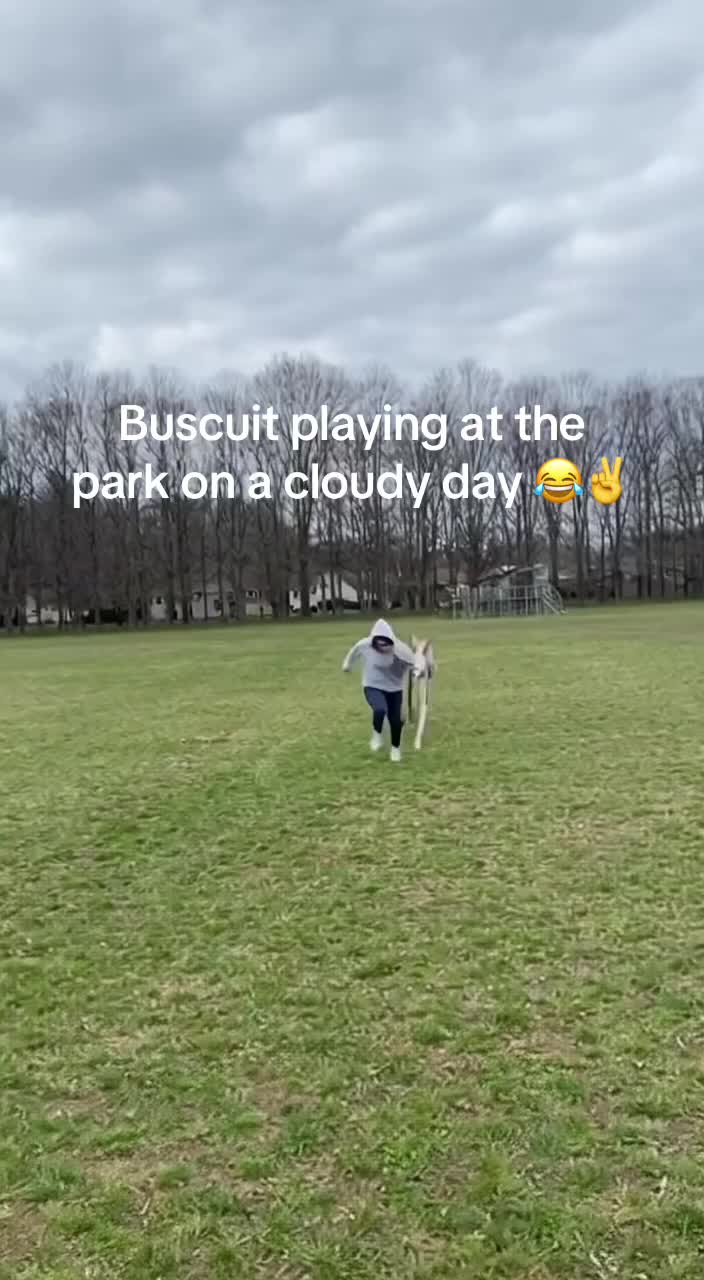 @Zisc