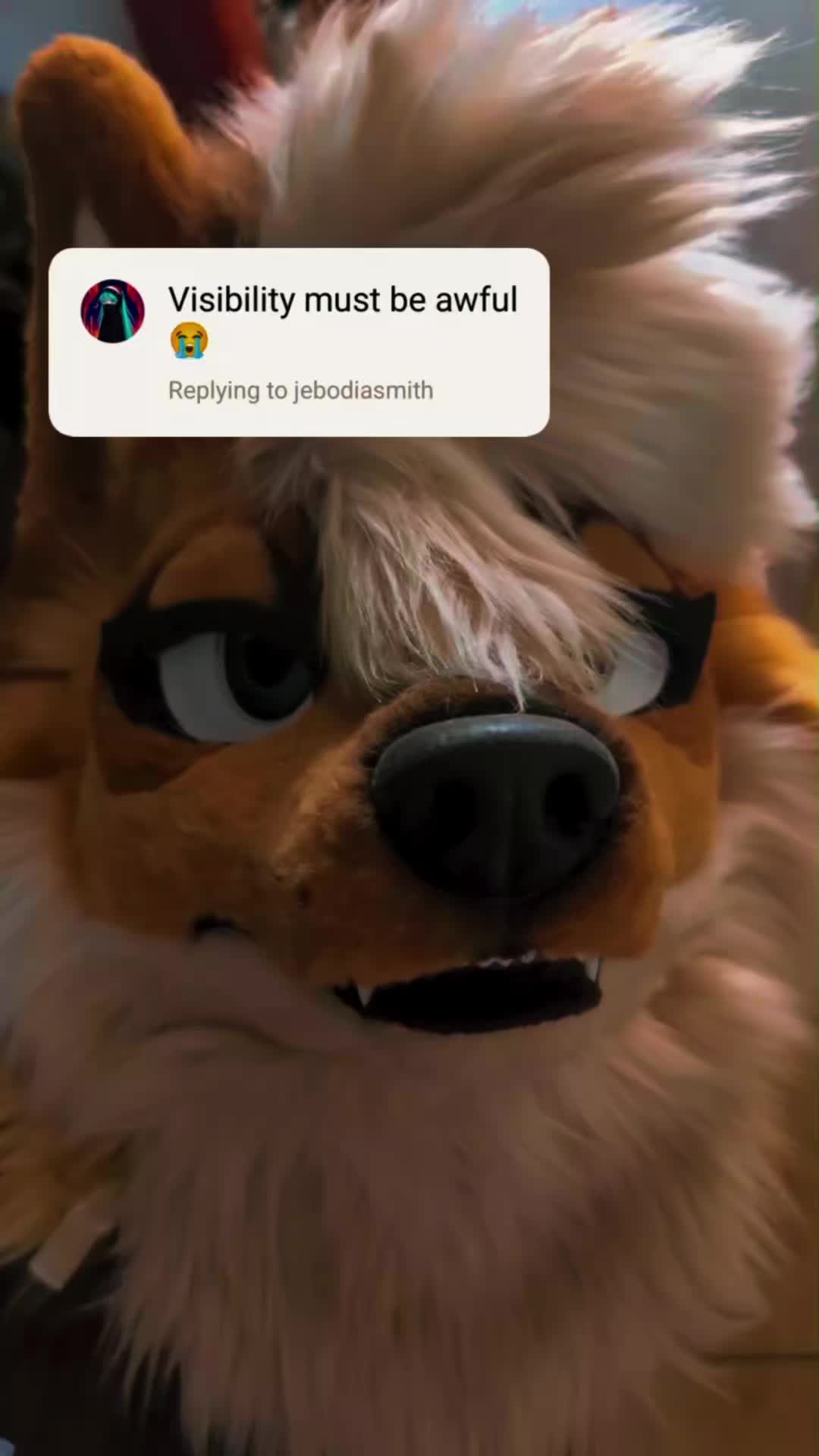 @Fen