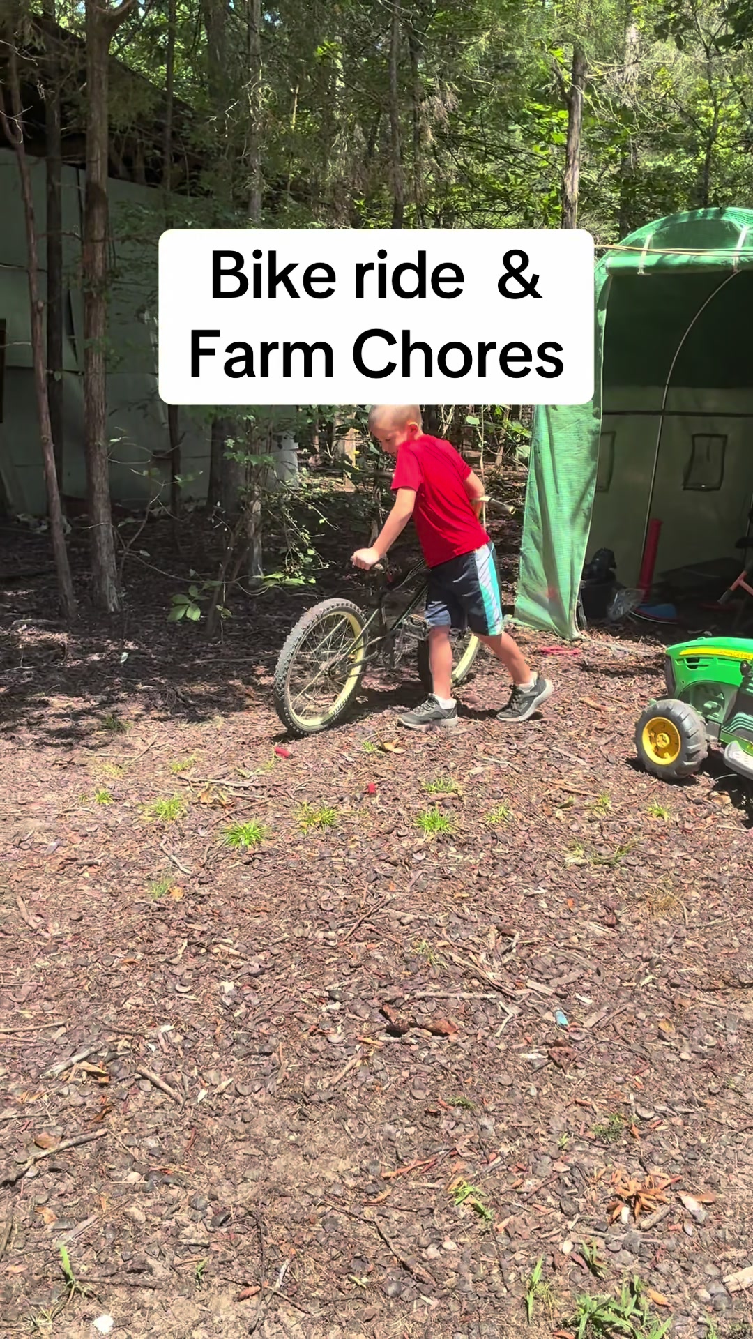 @Gray Acres Homestead