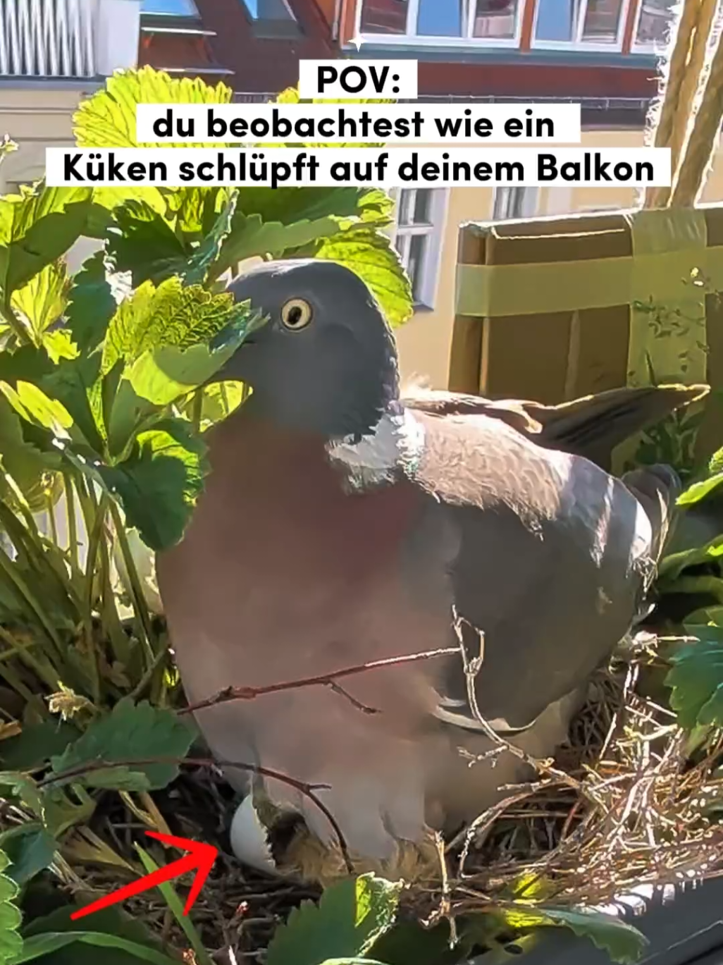 @ErnteExperte