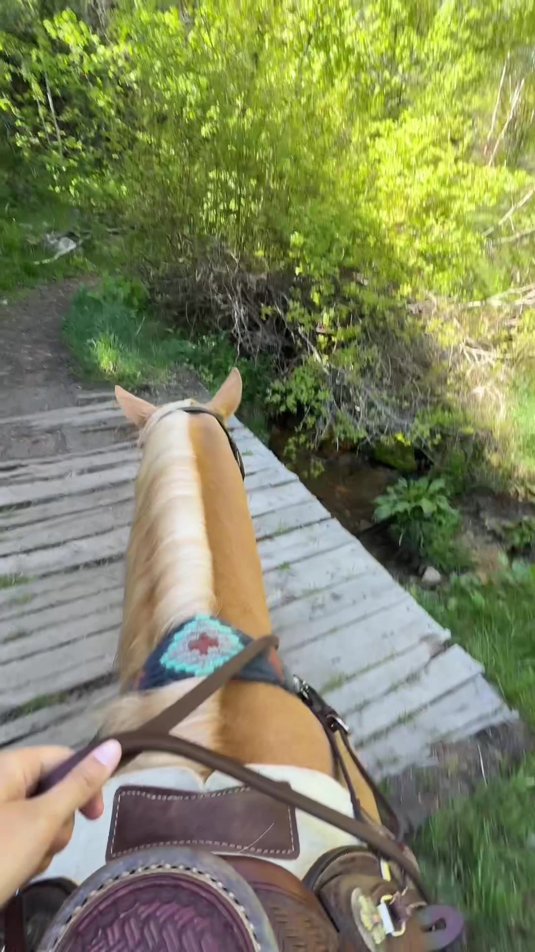 @Sadie