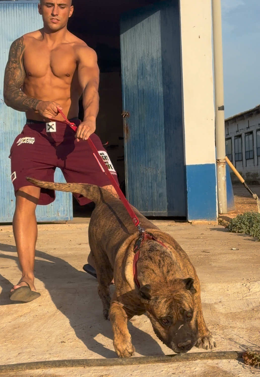 @Alberto Presa Canario Sanz