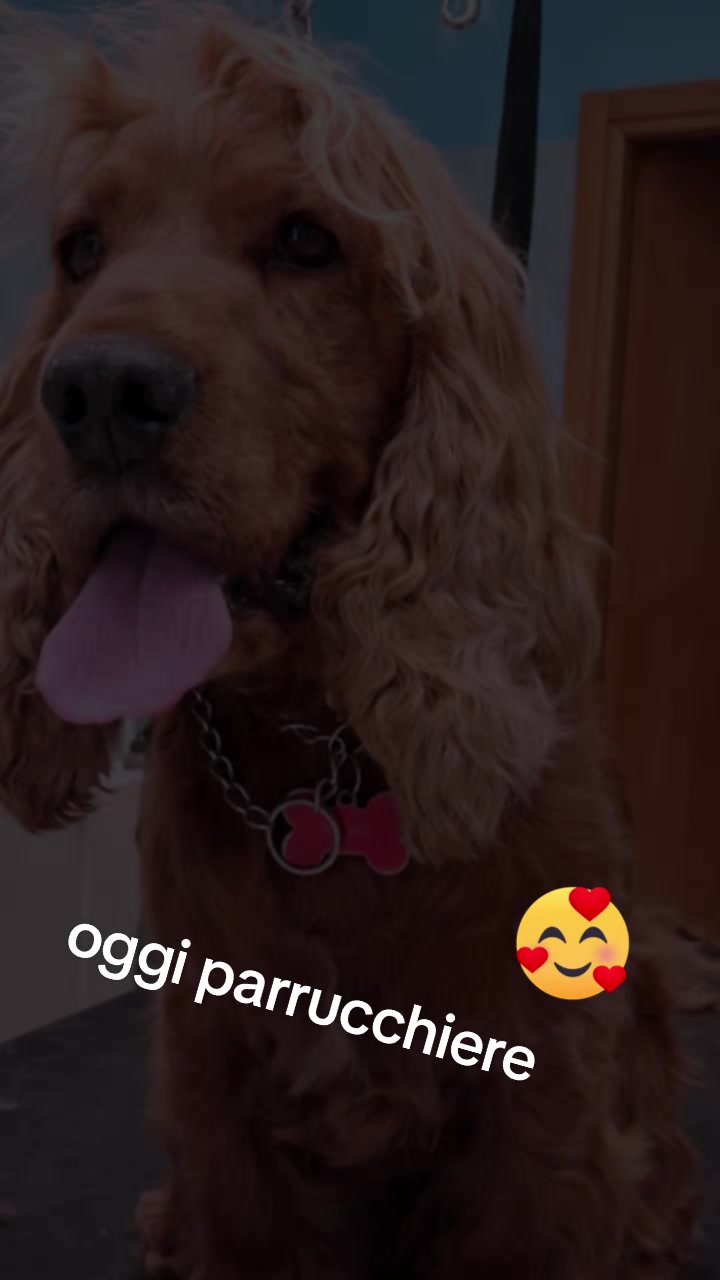 @ago 75
