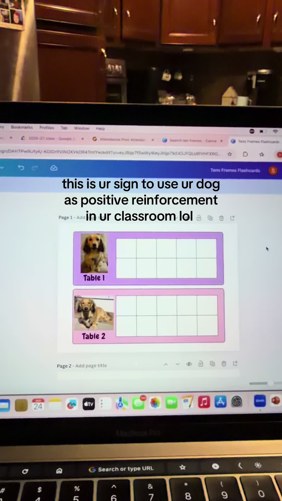 @stephlonigro
