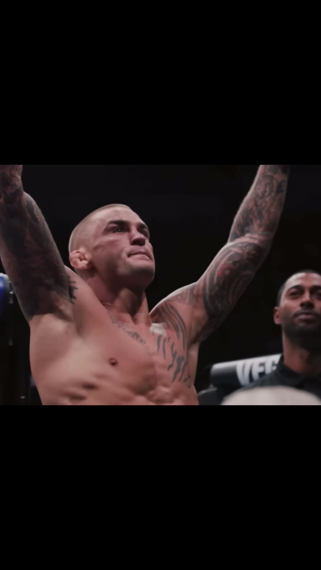 @matador.mma