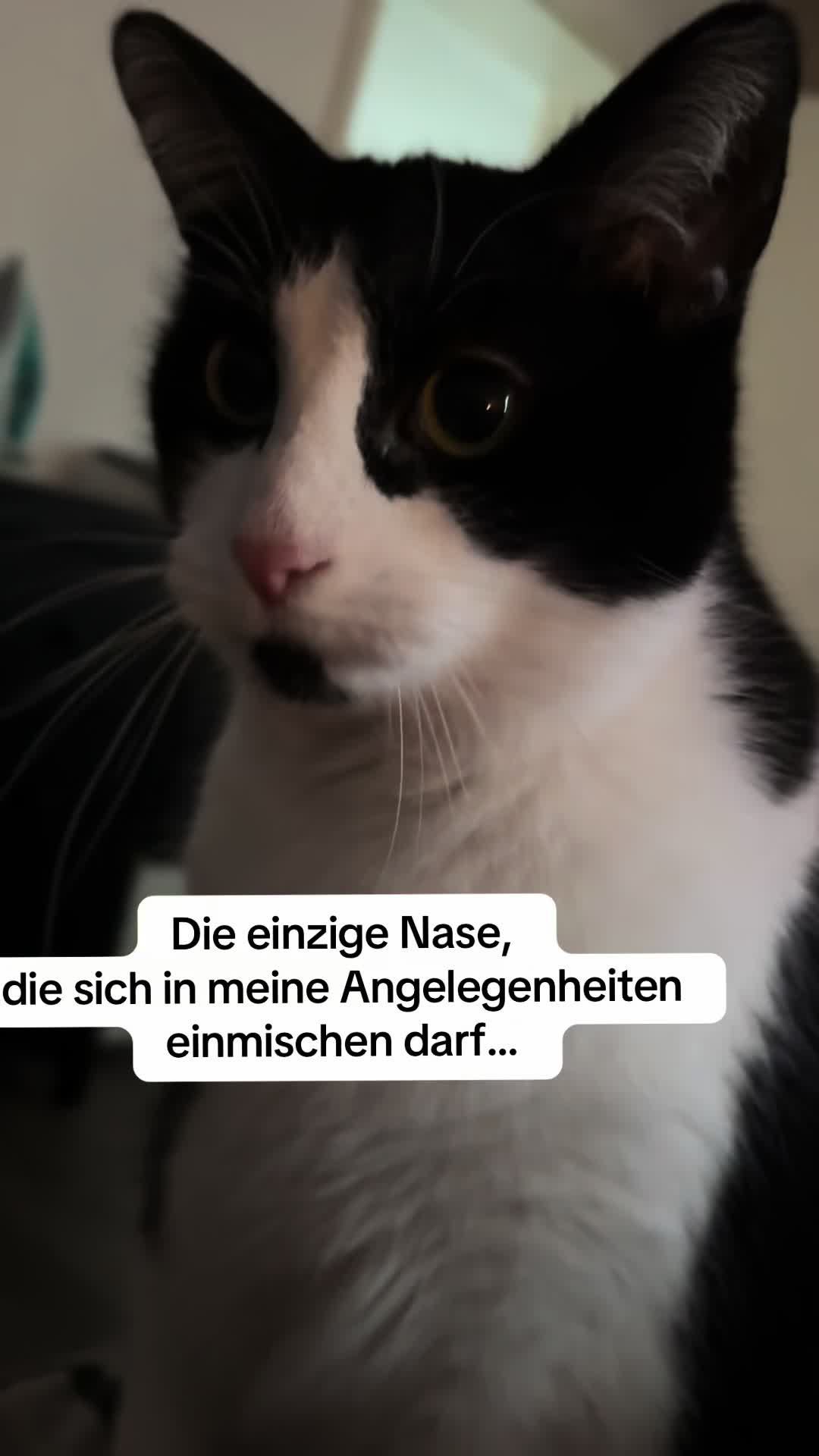@Polly Zist