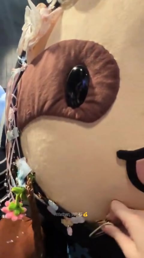 @ðŠ¥WSð°
