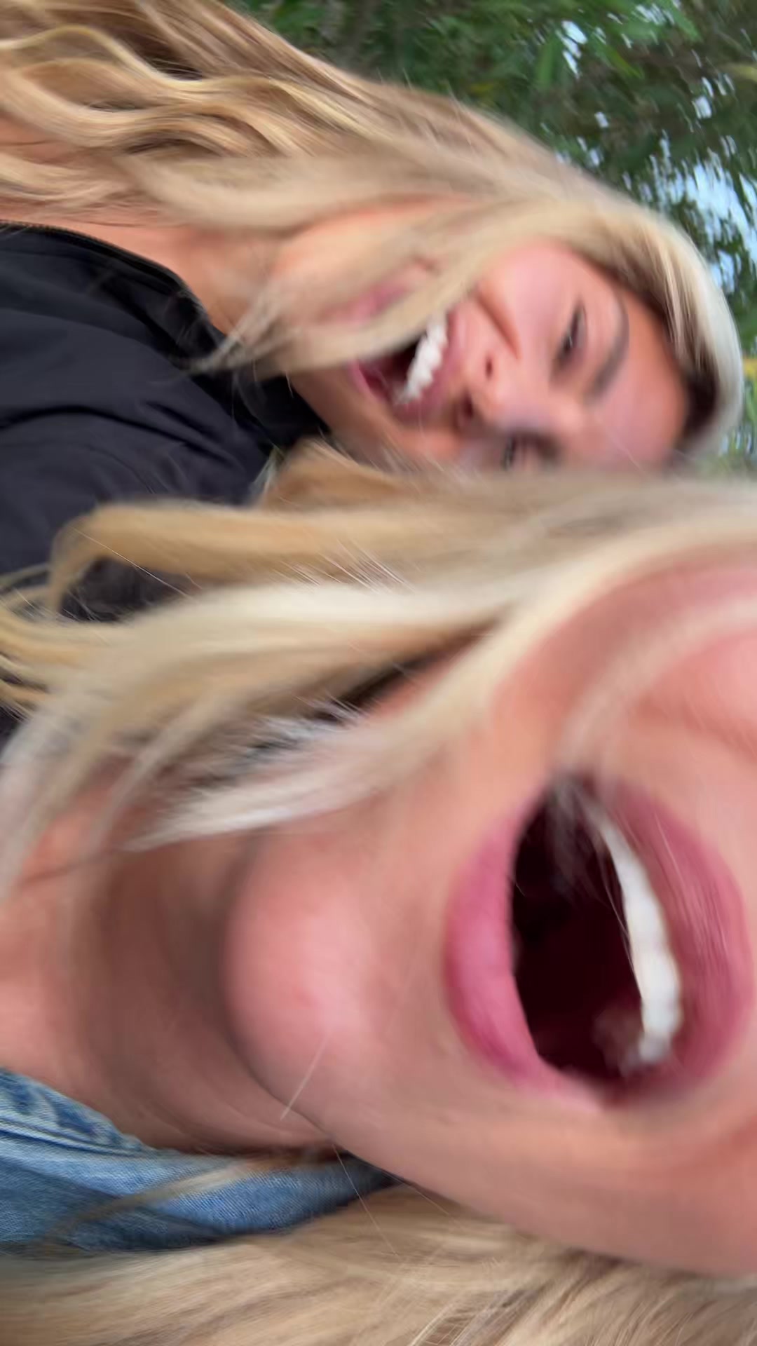 @Rosavisser