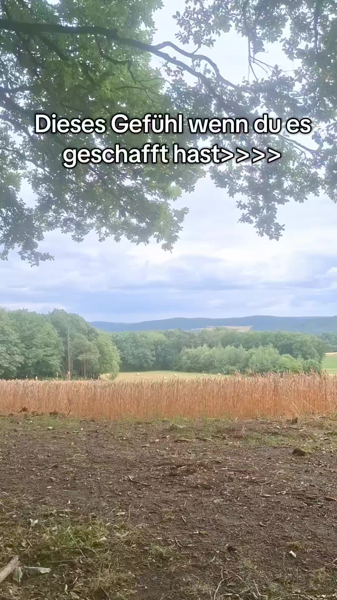@Remiz!🐐