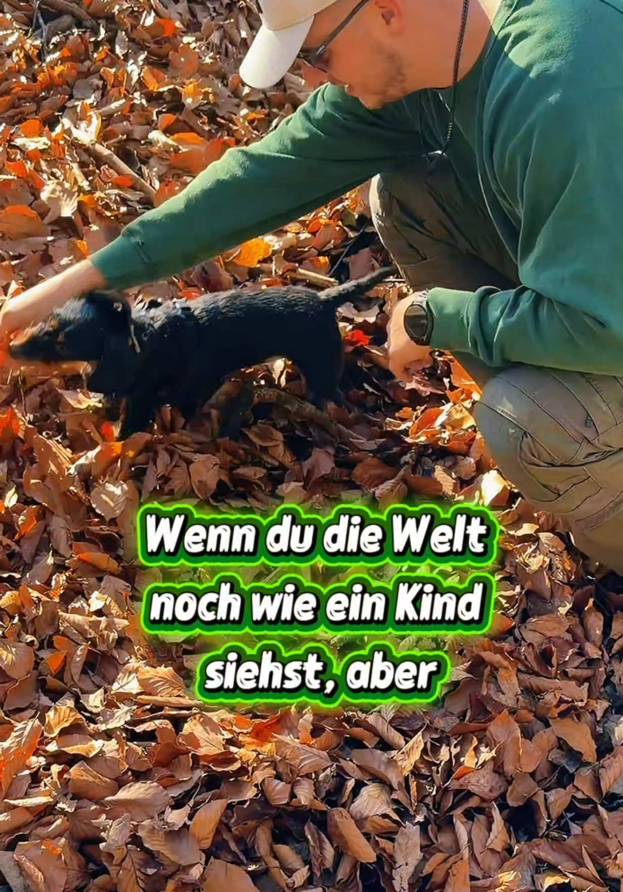 @INSAbenteuerHund