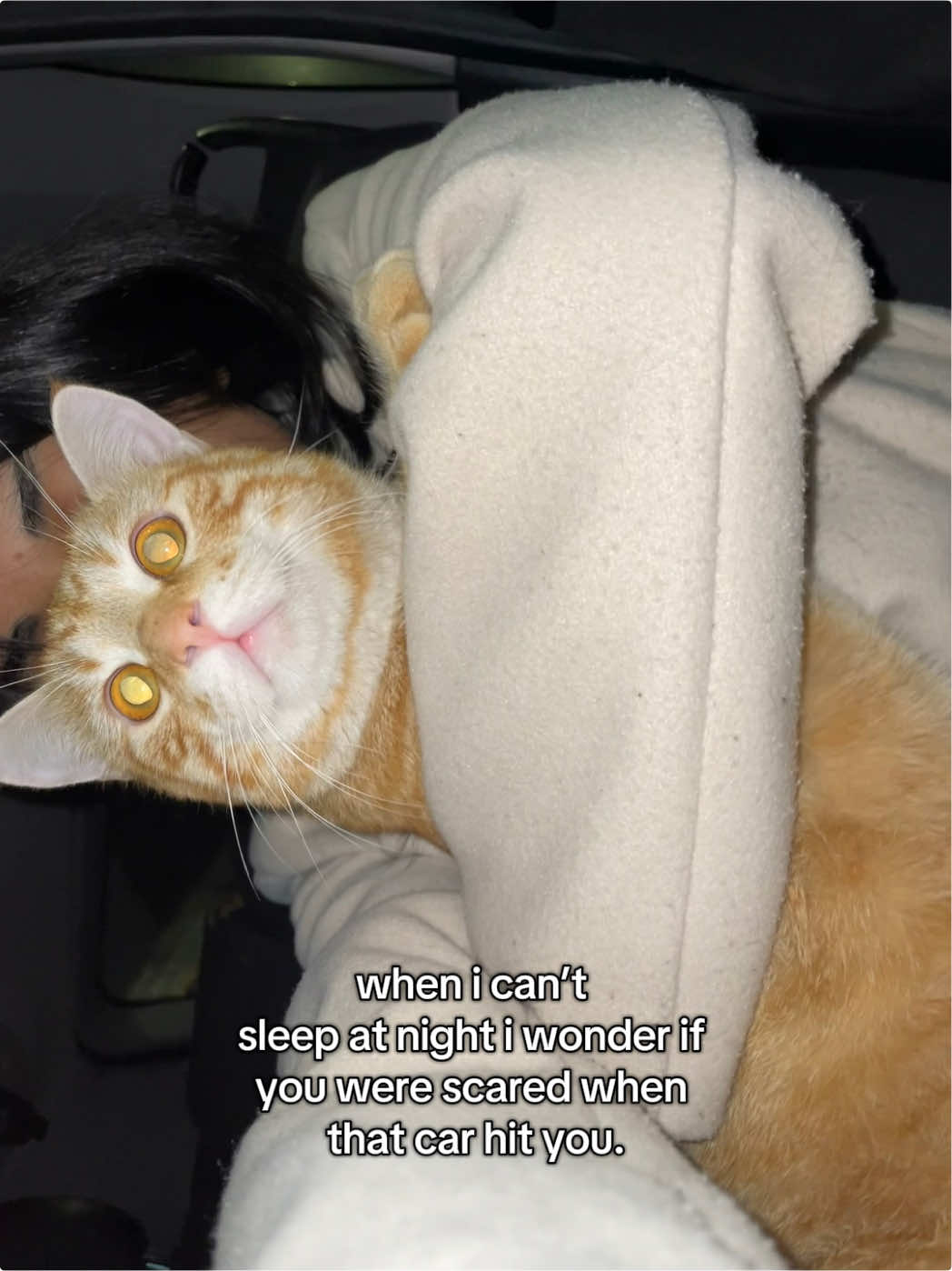 @𝓽𝓪𝓷𝓷𝓲𝓼𝓱𝓪🪽