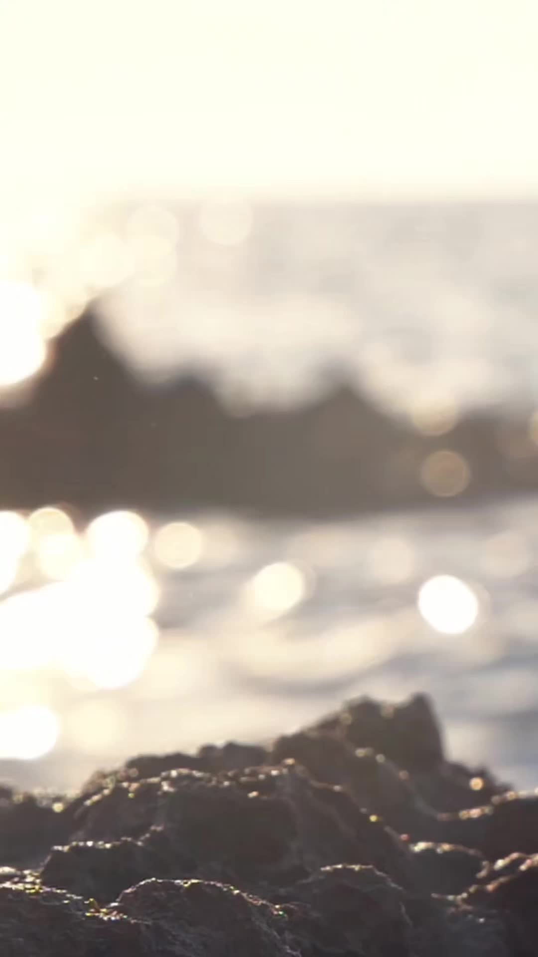 @simsim39✨