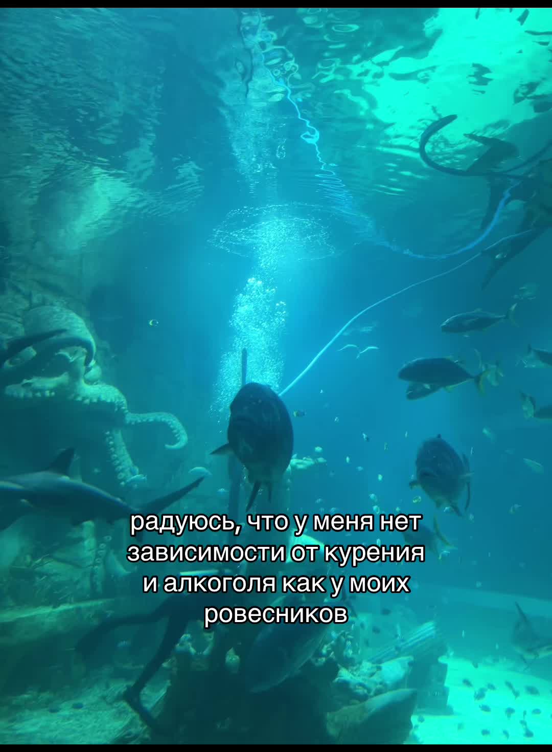 @𝐸𝑣𝑎