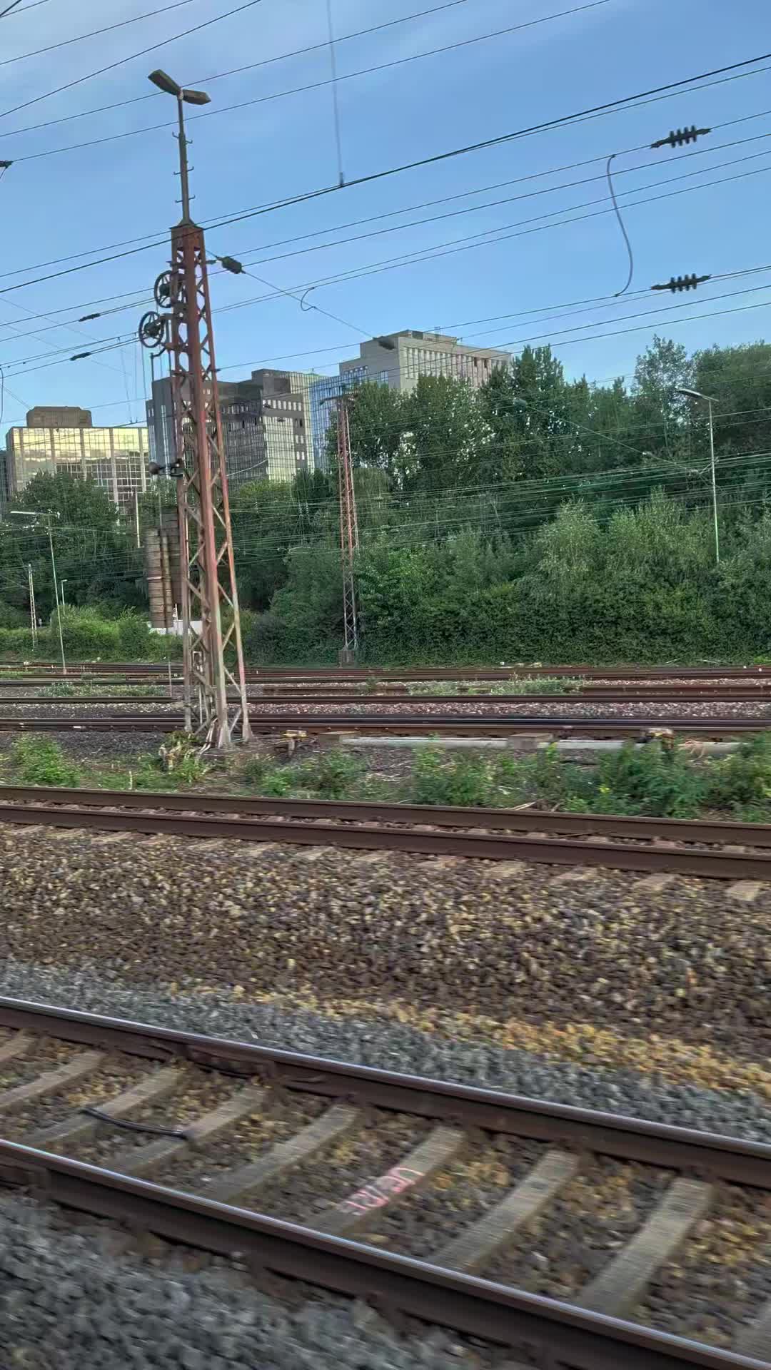 @RS_1981