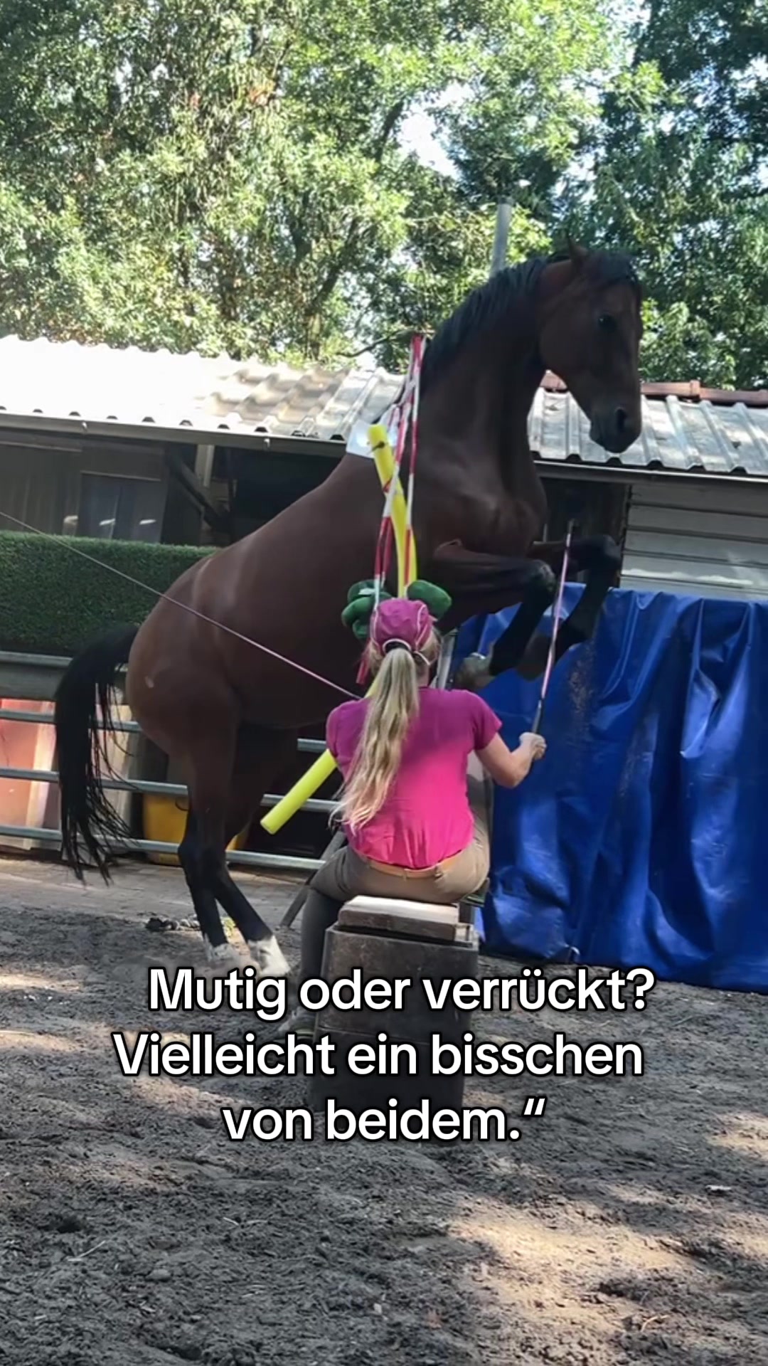 @Ani