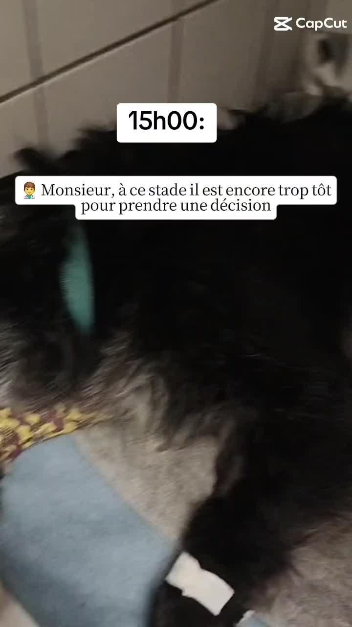 @L'image d’après