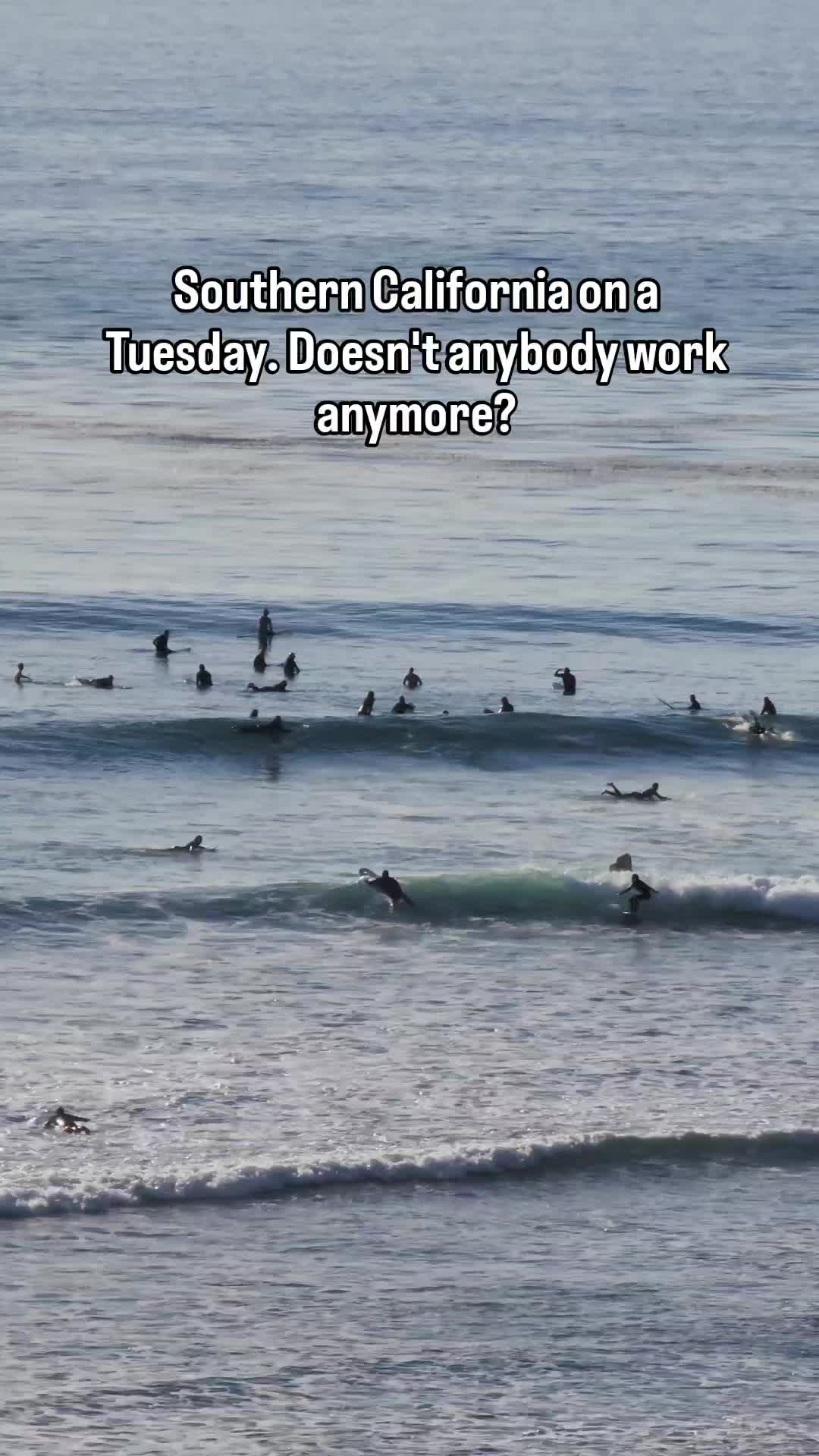 @thesurfersnook