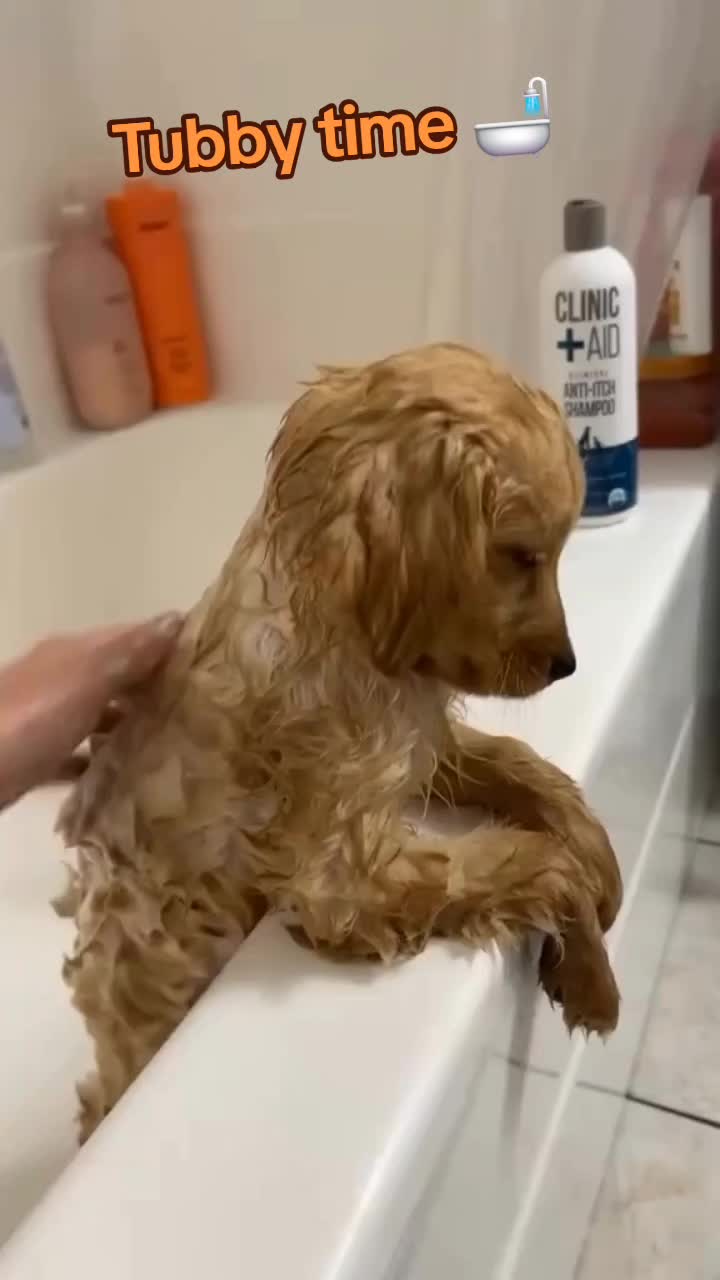 @🤣Vid&eacute;os Dr&ocirc;les.Zzz